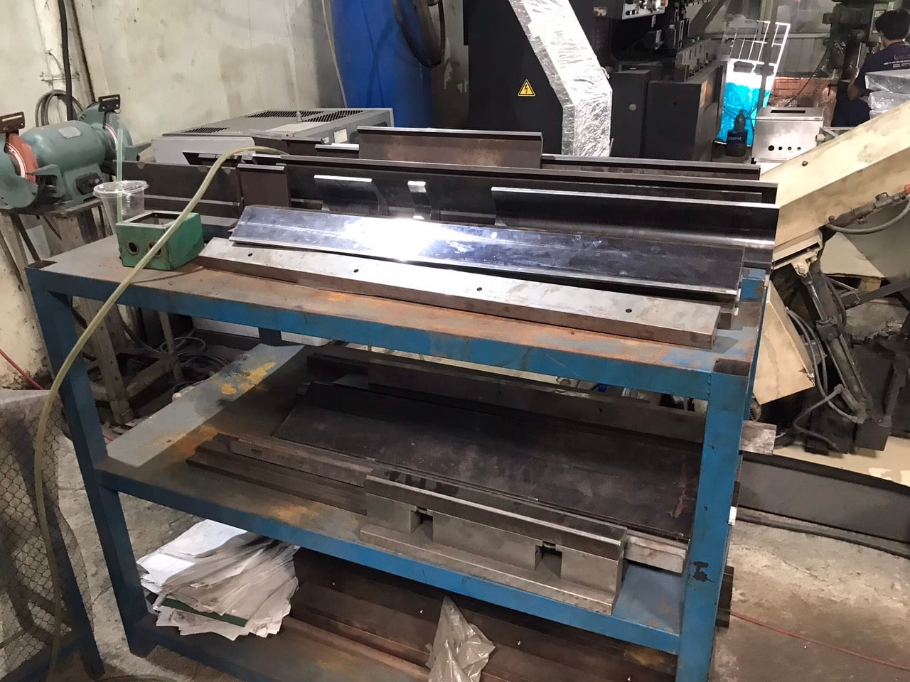 Mold area